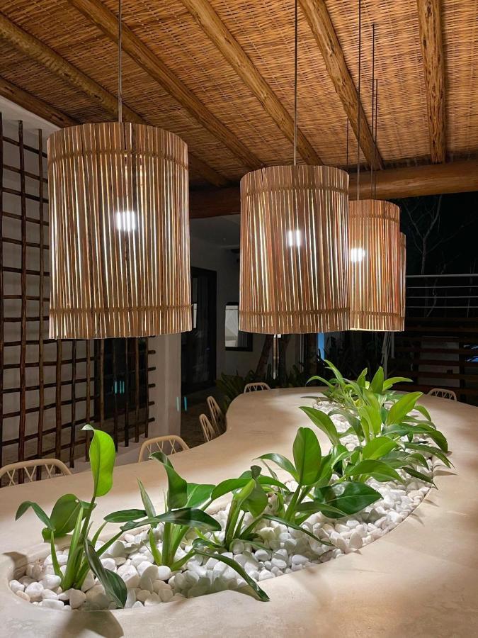 Villa Alba - Trancoso Eksteriør billede